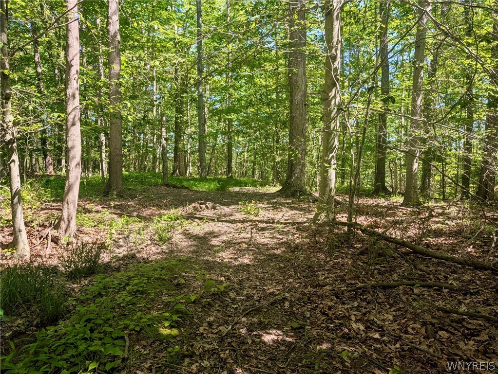 1311 Bullis Road Elma, NY 14059 - Photo 43 of 44