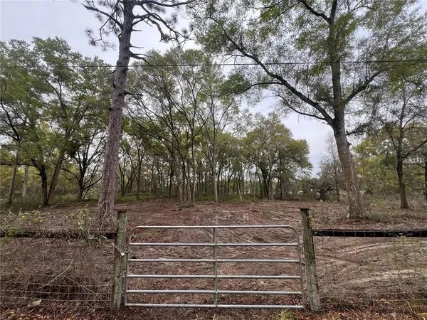 a view of backyard with green space