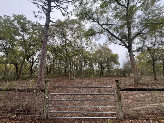 a view of backyard with green space