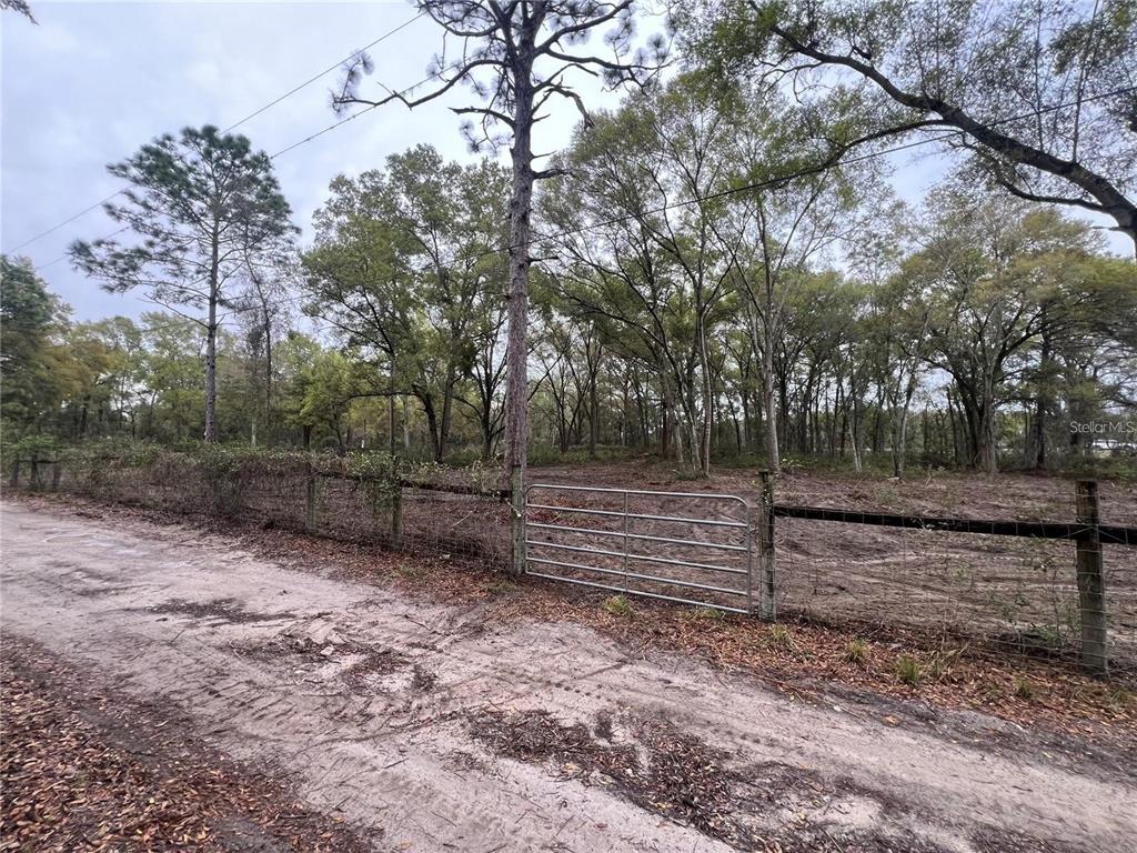 15574 Rockingham Lane Spring Hill, FL 34610 - Photo 2 of 7 a backyard of a house with lots of green space