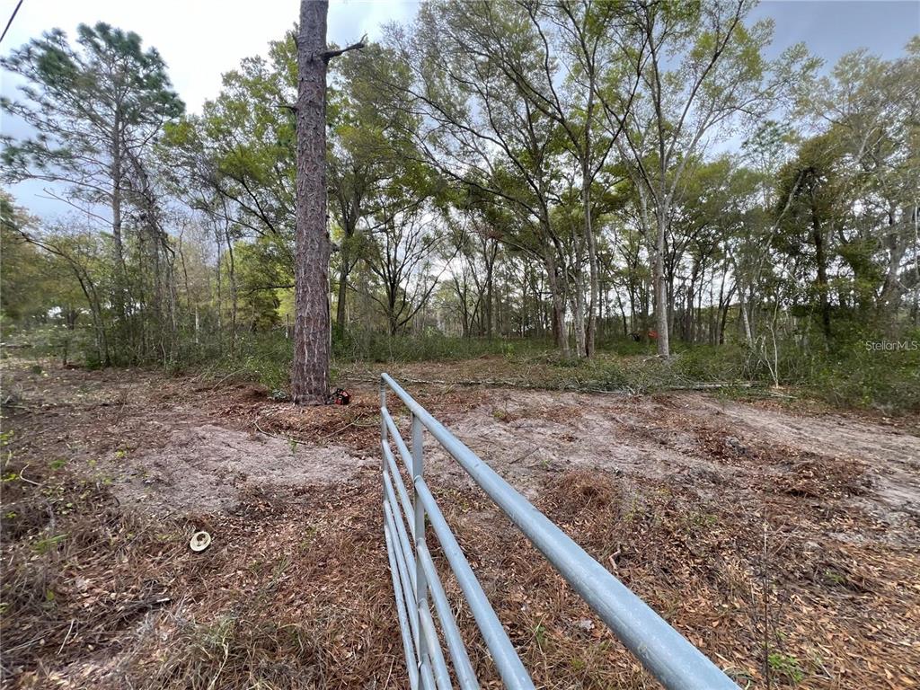 15574 Rockingham Lane Spring Hill, FL 34610 - Photo 3 of 7 a backyard of a house with lots of green space