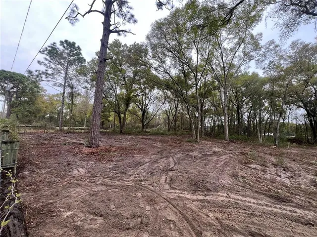 a view of outdoor space with green space