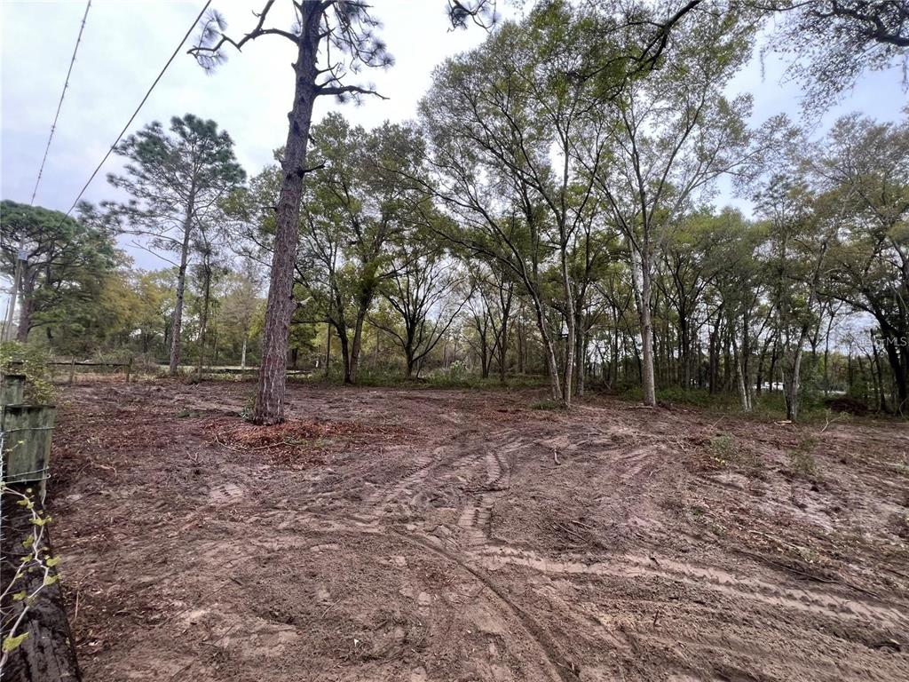 15574 Rockingham Lane Spring Hill, FL 34610 - Photo 5 of 7 a view of outdoor space with green space
