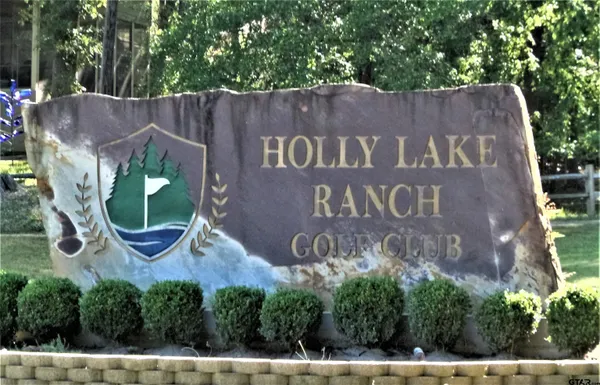 $2,000 | 250 Autumn Wood Trail, Holly Lake Ranch, TX 75765