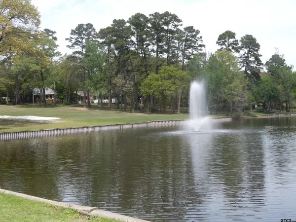 $2,000 | 250 Autumn Wood Trail, Holly Lake Ranch, TX 75765