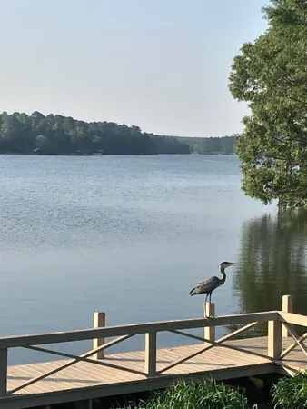 $2,000 | 250 Autumn Wood Trail, Holly Lake Ranch, TX 75765