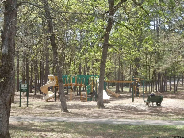 $2,000 | 250 Autumn Wood Trail, Holly Lake Ranch, TX 75765