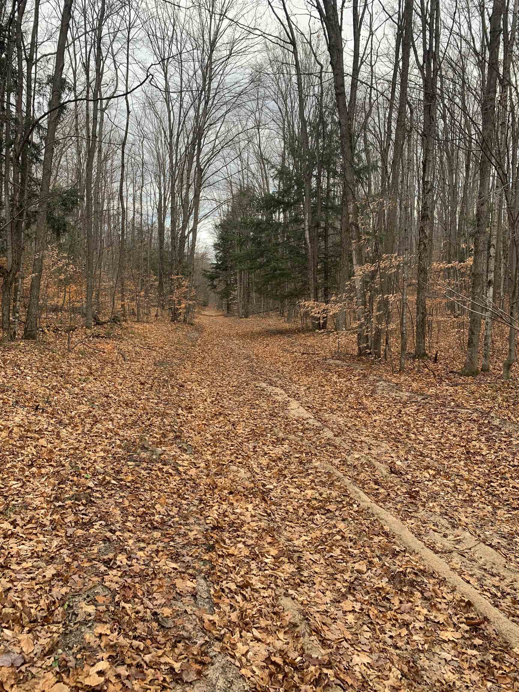 Near Near Stark Road Mancelona, MI 49659 - Photo 1 of 7