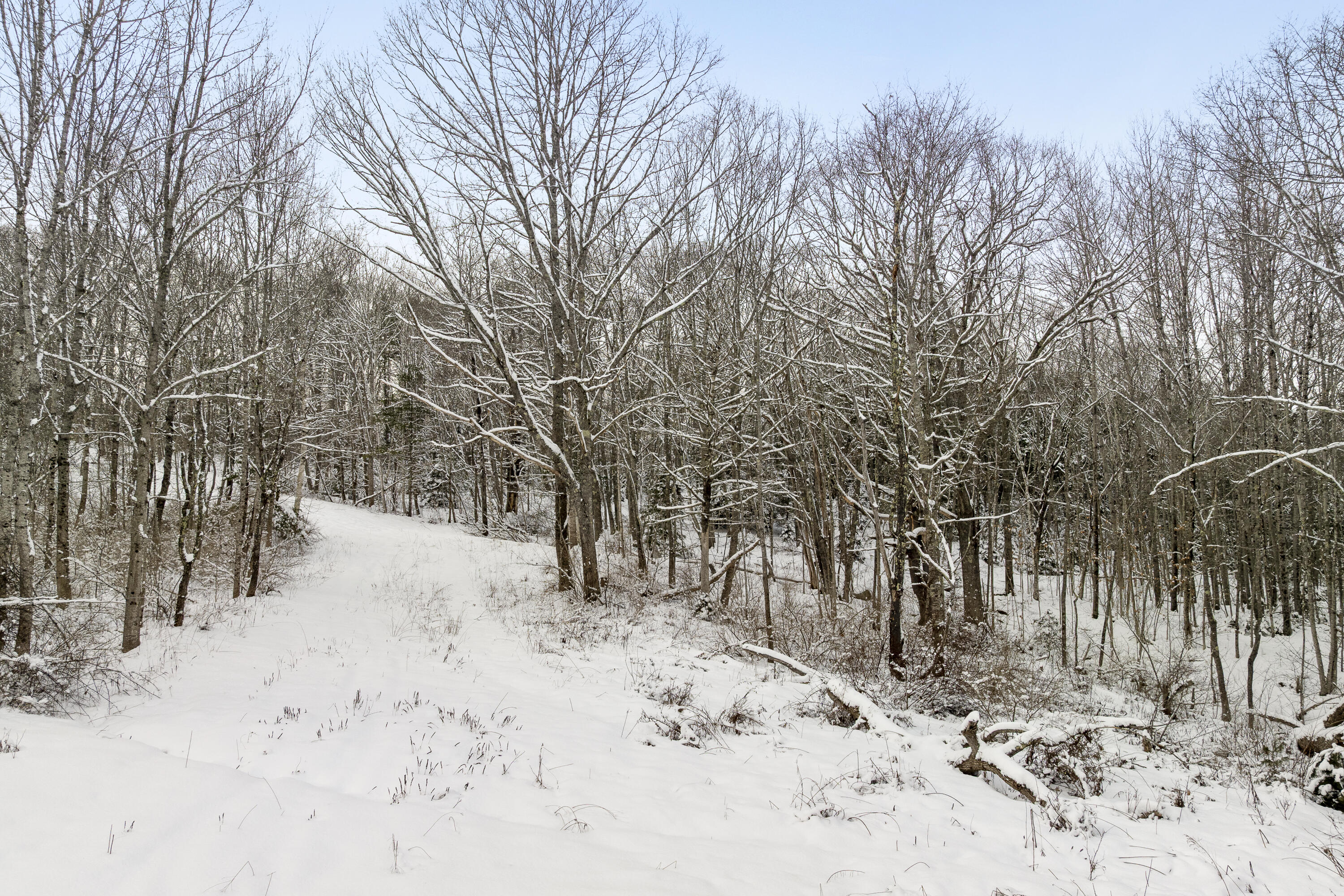 P/o Lot 38 P/o Road Edgecomb, ME 04556 - Photo 8 of 8 6