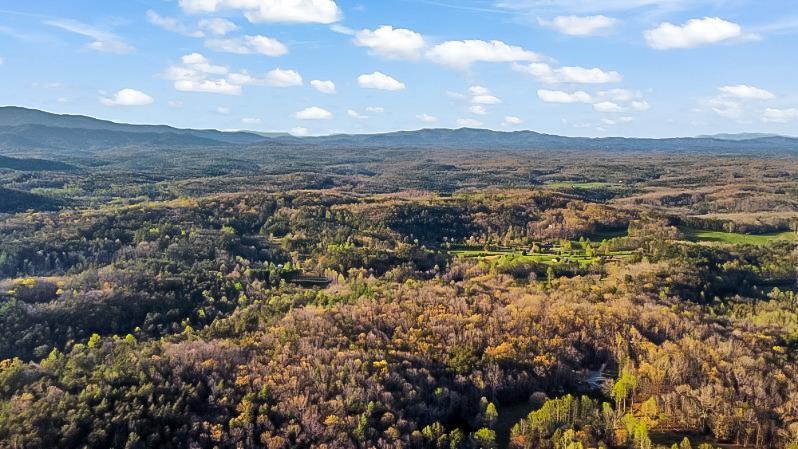125 Fightingtown Overlook Blue Ridge, GA 30513 - Photo 76 of 80 Gallery Image 76