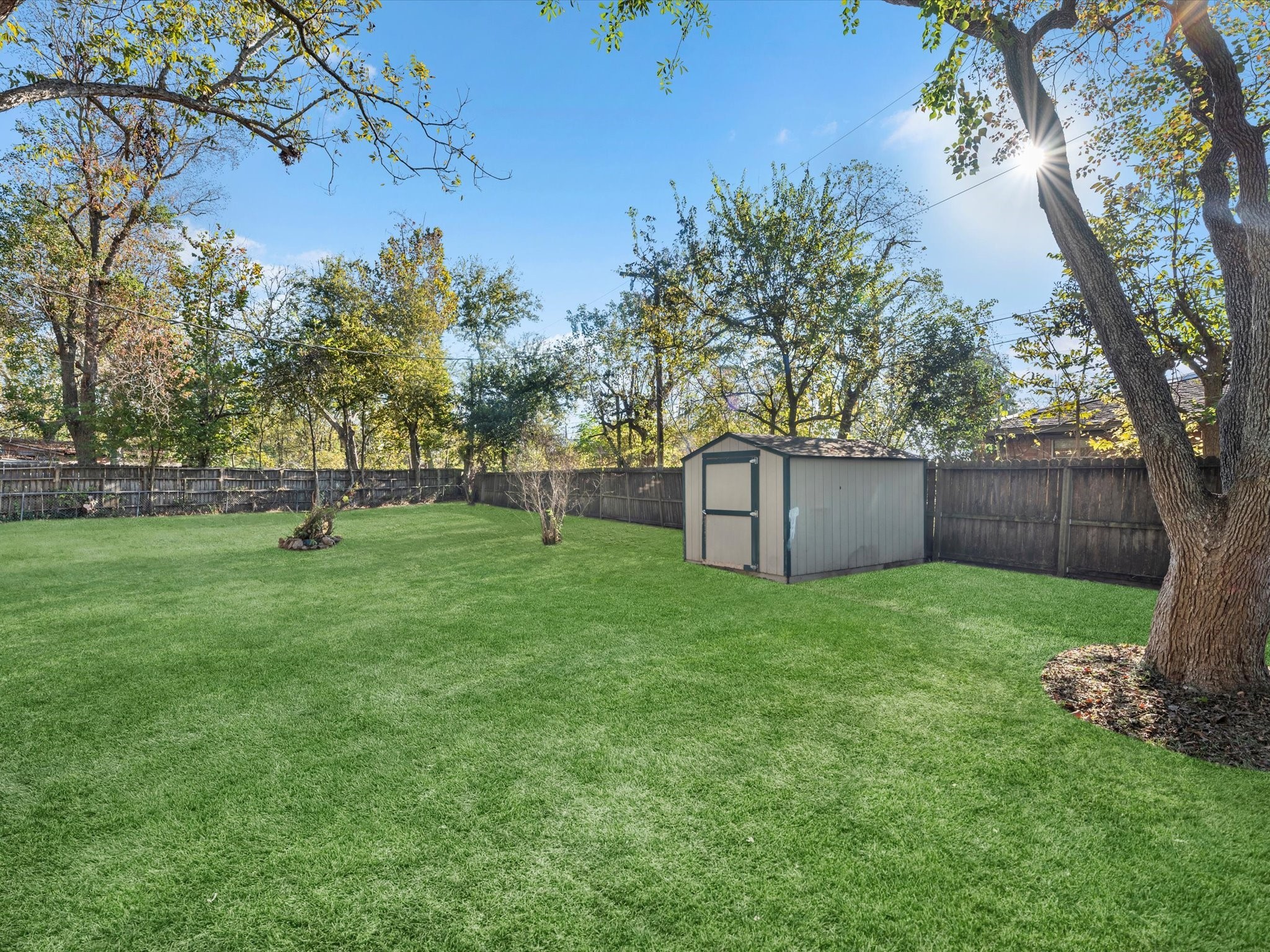 609 Debbie Lane Alvin, TX 77511 - Photo 23 of 23 a ground with lots of tall trees