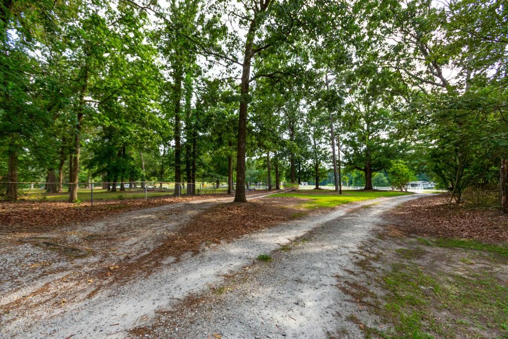 1042 Harbins Road Dacula, GA 30019 - Photo 19 of 35 a view of outdoor space with trees