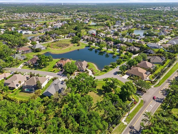 a view of a grassy field with trees