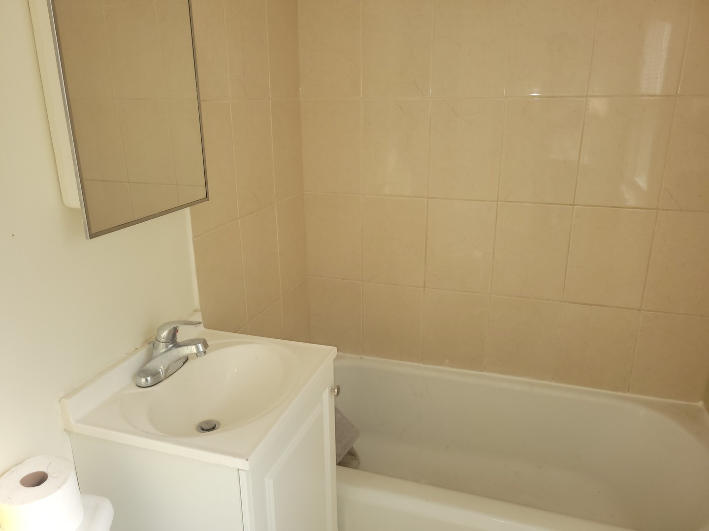 9126 South Perry Avenue Chicago, IL 60620 - Photo 9 of 22
