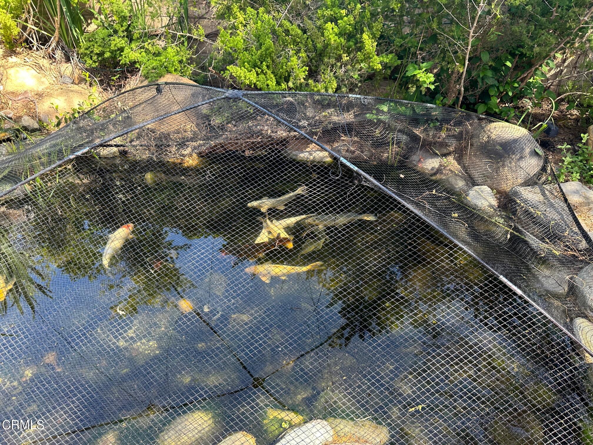 13625 Silver Oak Lane Moorpark, CA 93021 - Photo 41 of 44 IMG_1581 (1)