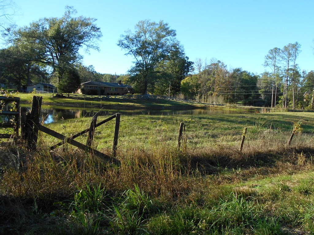 60 Allen Acres Road Silver Creek, MS 39663 - Photo 4 of 20 Photo 4