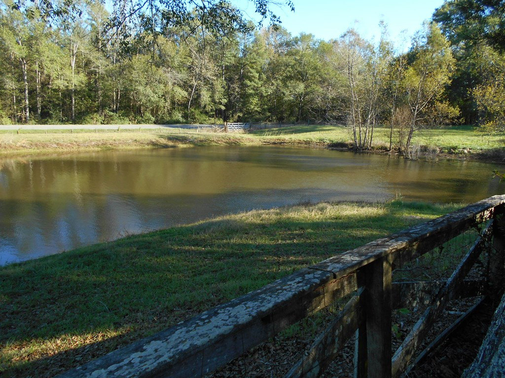 60 Allen Acres Road Silver Creek, MS 39663 - Photo 5 of 20 Photo 5