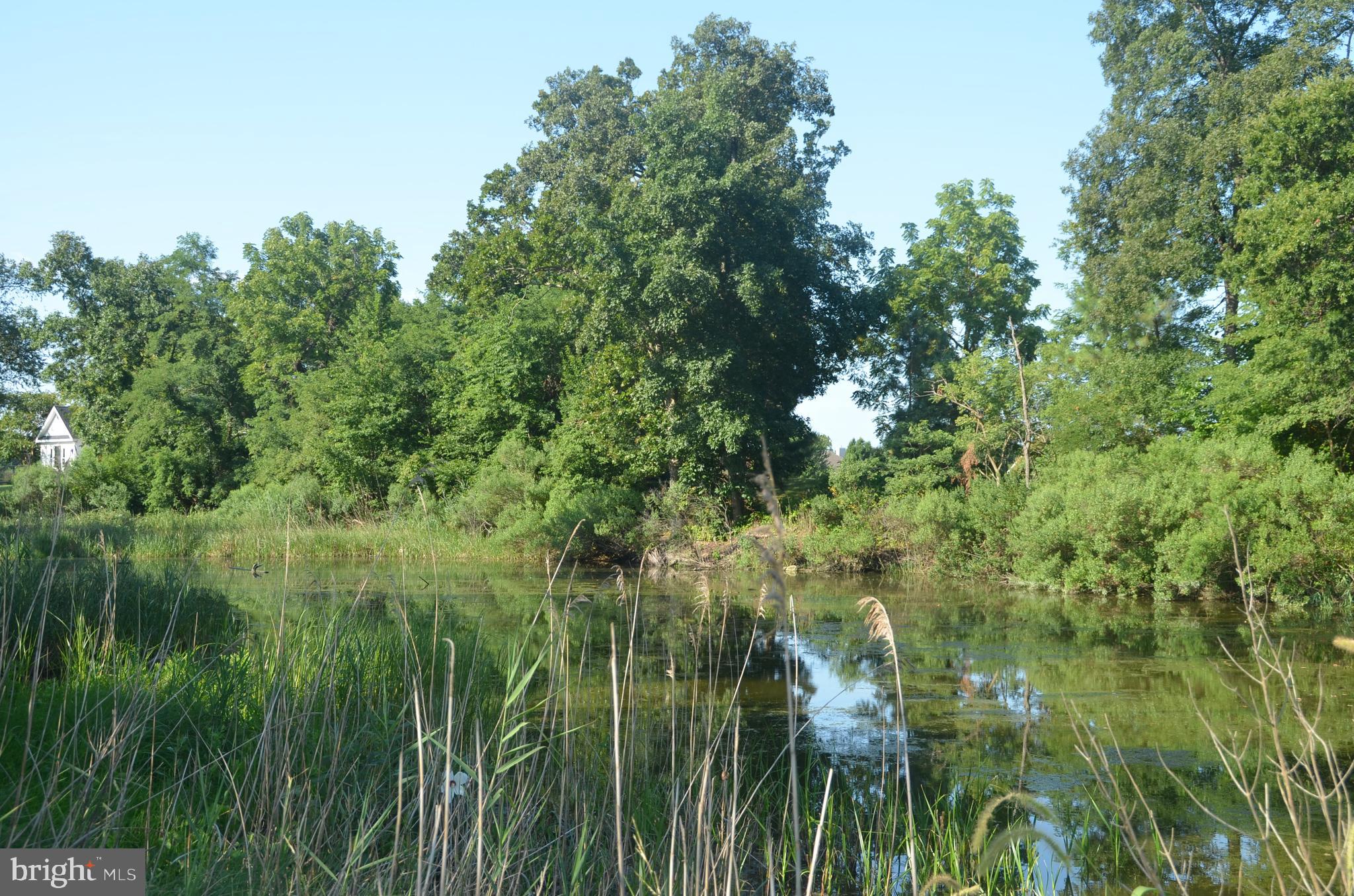 Lot 11 New Post Road St. Michaels, MD 21663 - Photo 7 of 25 Gallery Image 7