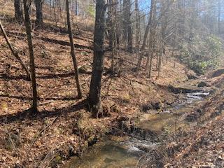 Tbd Lincoln Road, Unit 3 Galax, VA 24333 - Photo 1 of 64 Gallery Image 1