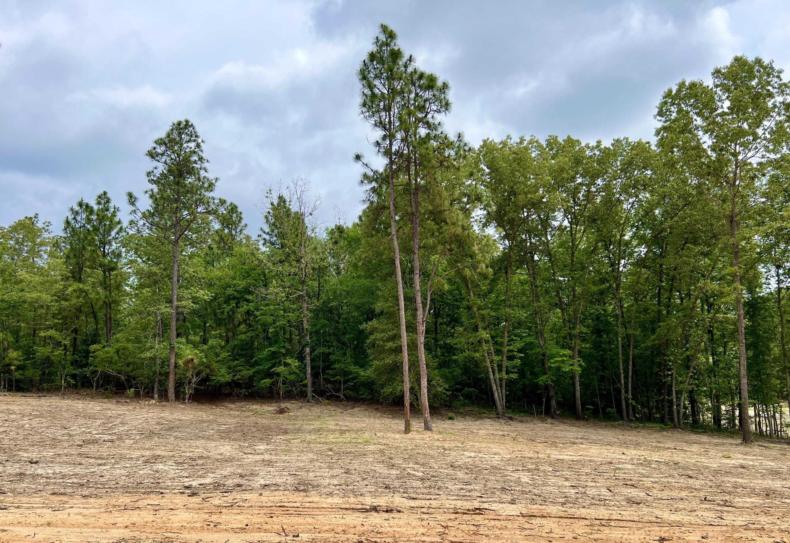 0 Shell Stone Trail Aiken, SC 29803 - Photo 2 of 6