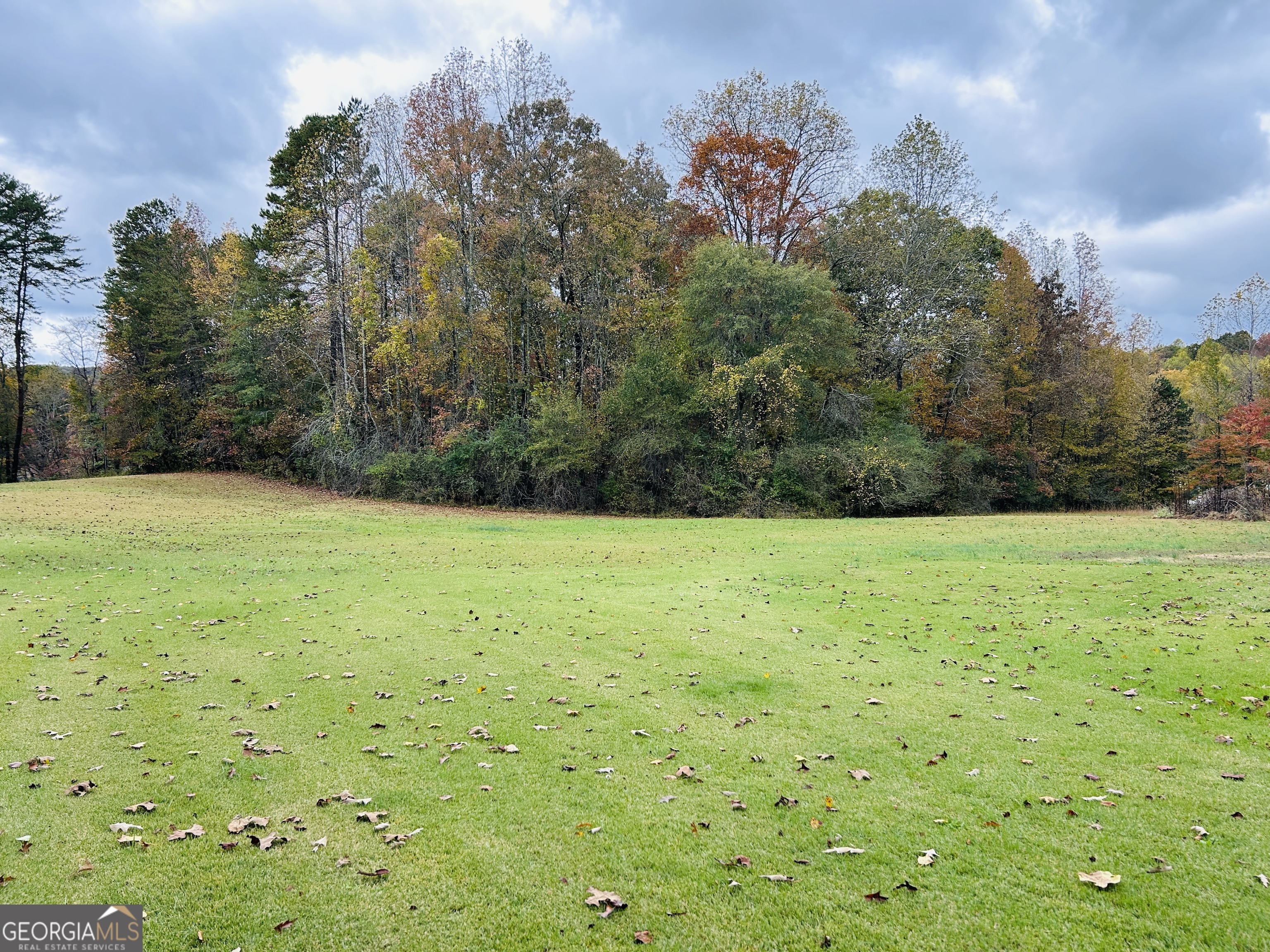 3077 Alec Mountain Road Clarkesville, GA 30523 - Photo 29 of 35