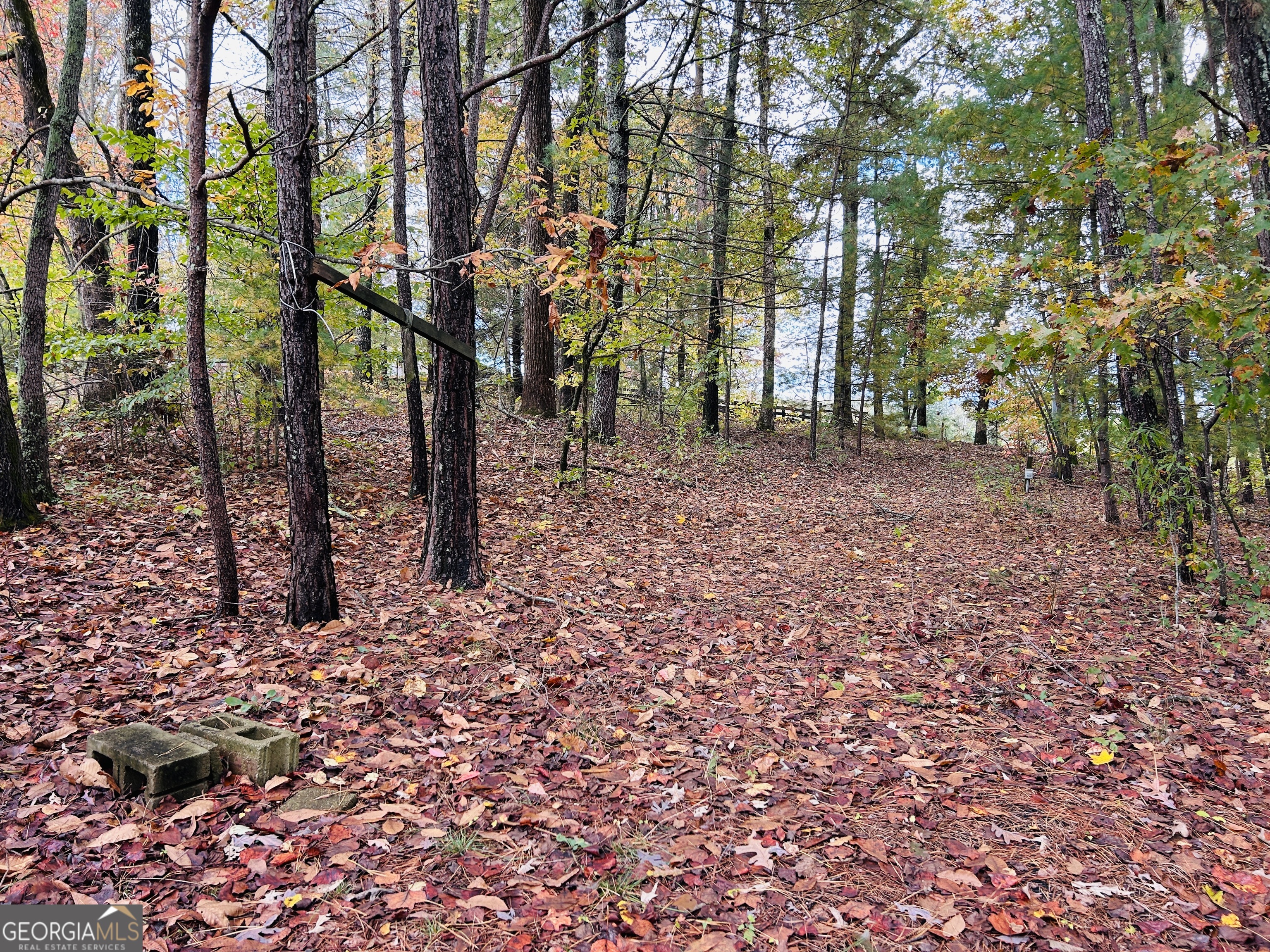 3077 Alec Mountain Road Clarkesville, GA 30523 - Photo 31 of 35