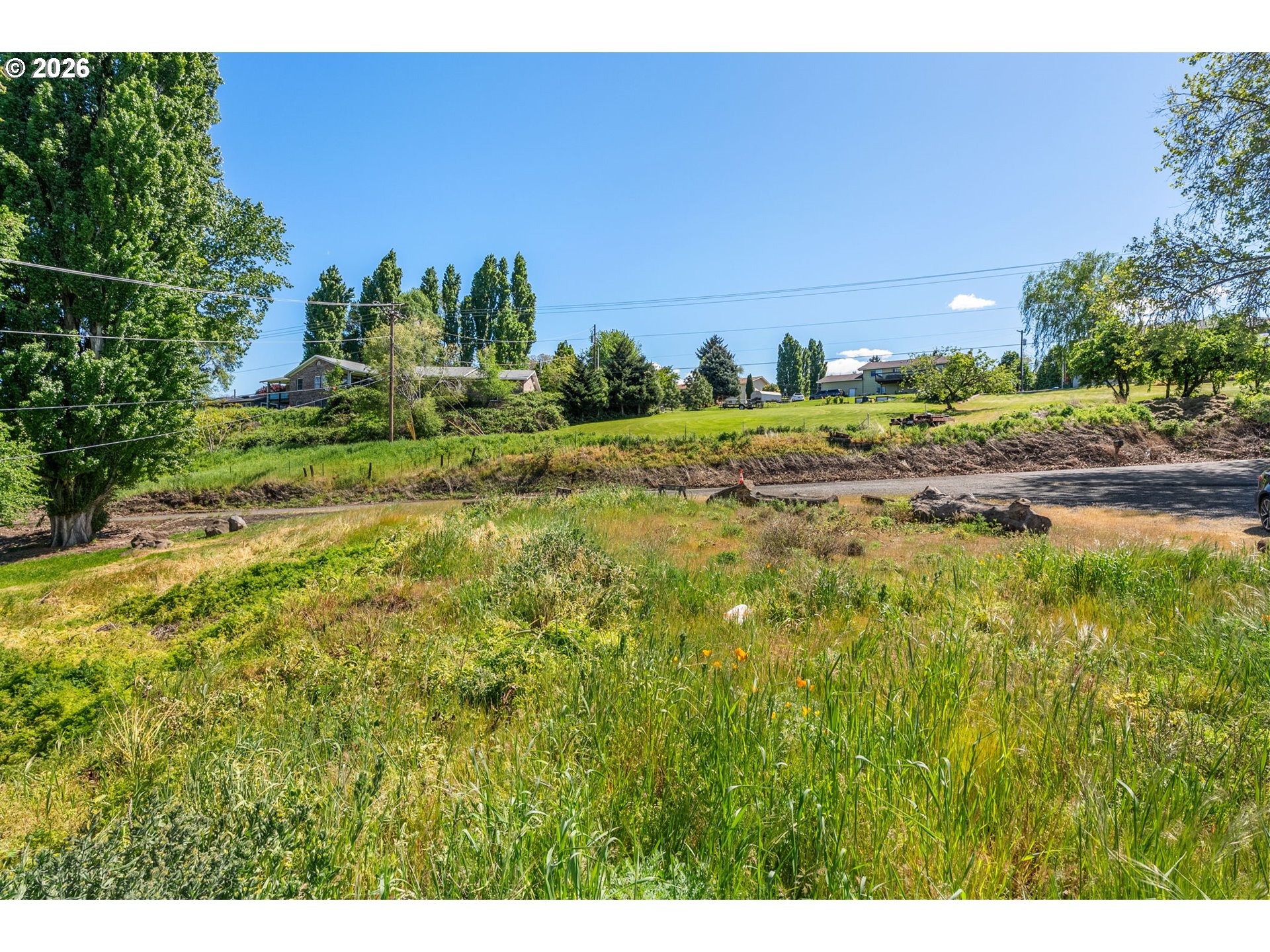 0 Fremont Street The Dalles, OR 97058 - Photo 5 of 16 a view of a green field