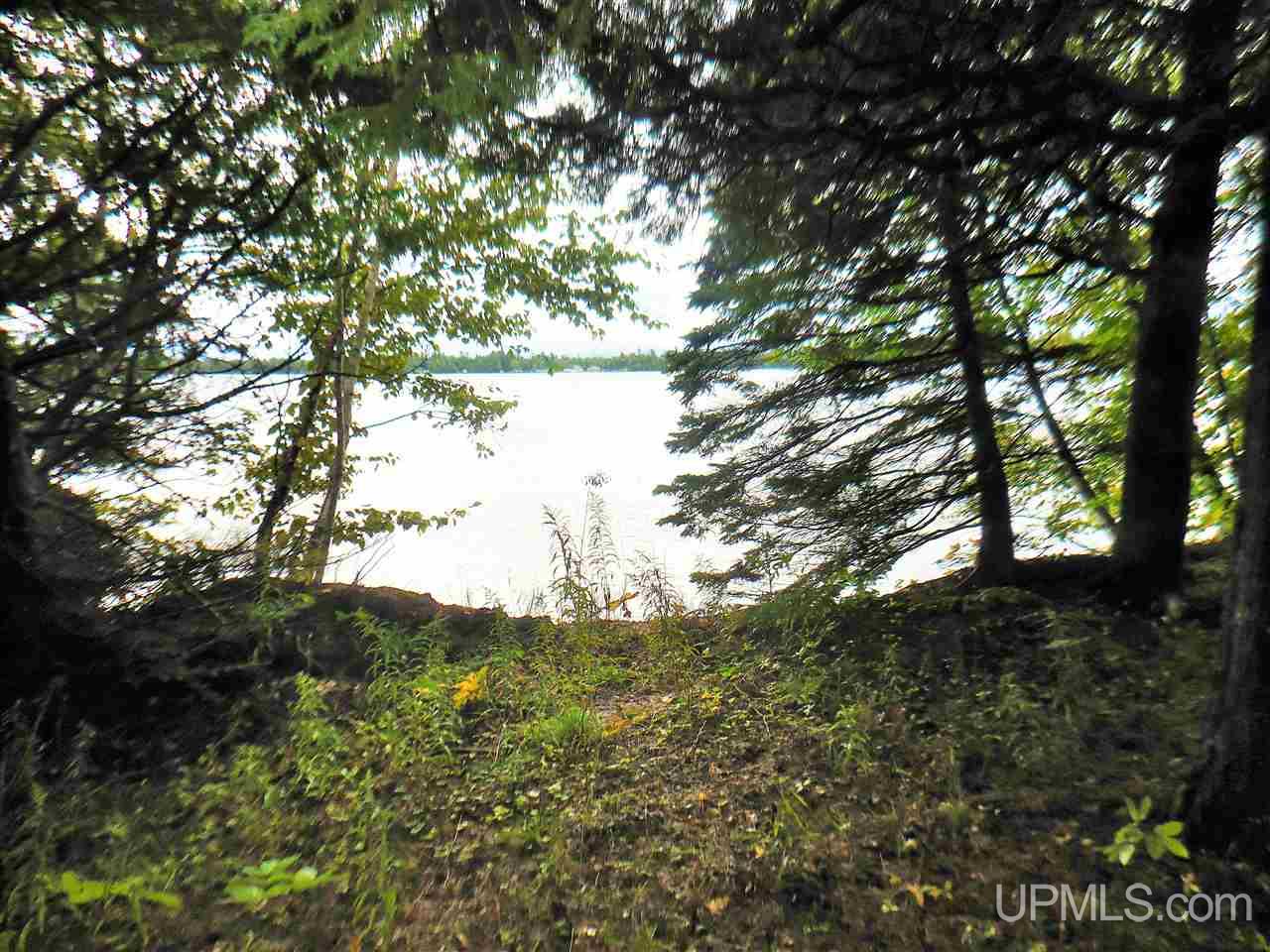 3365 West North Gulliver Lake Road Gulliver, MI 49840 - Photo 7 of 17