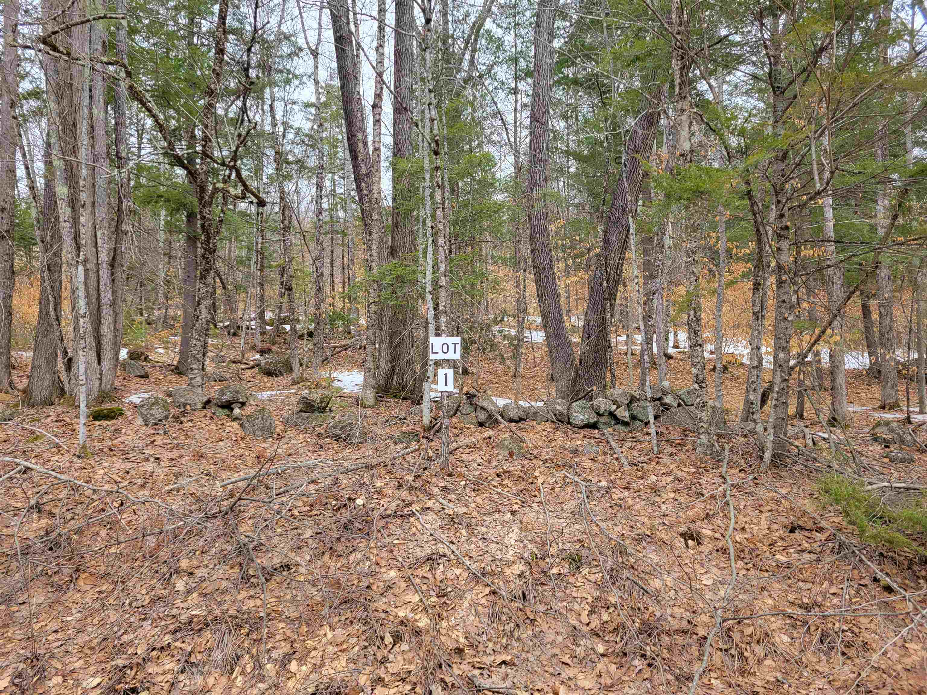 582-1 West Fryeburg Road Fryeburg, ME 04037 - Photo 1 of 1