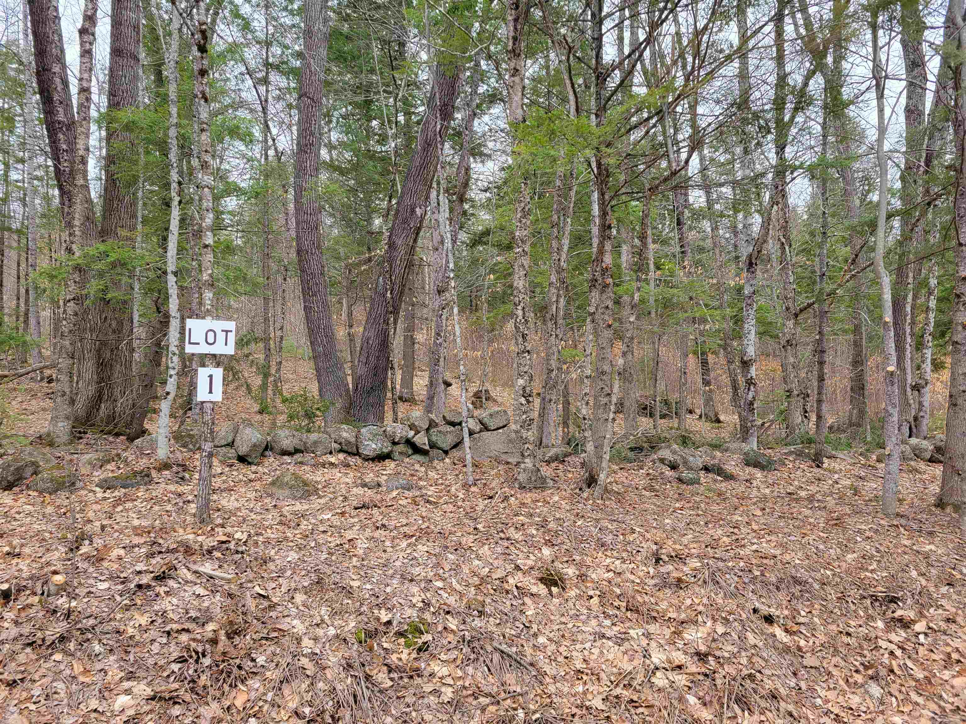 582-1 West Fryeburg Road Fryeburg, ME 04037 - Photo 2 of 3
