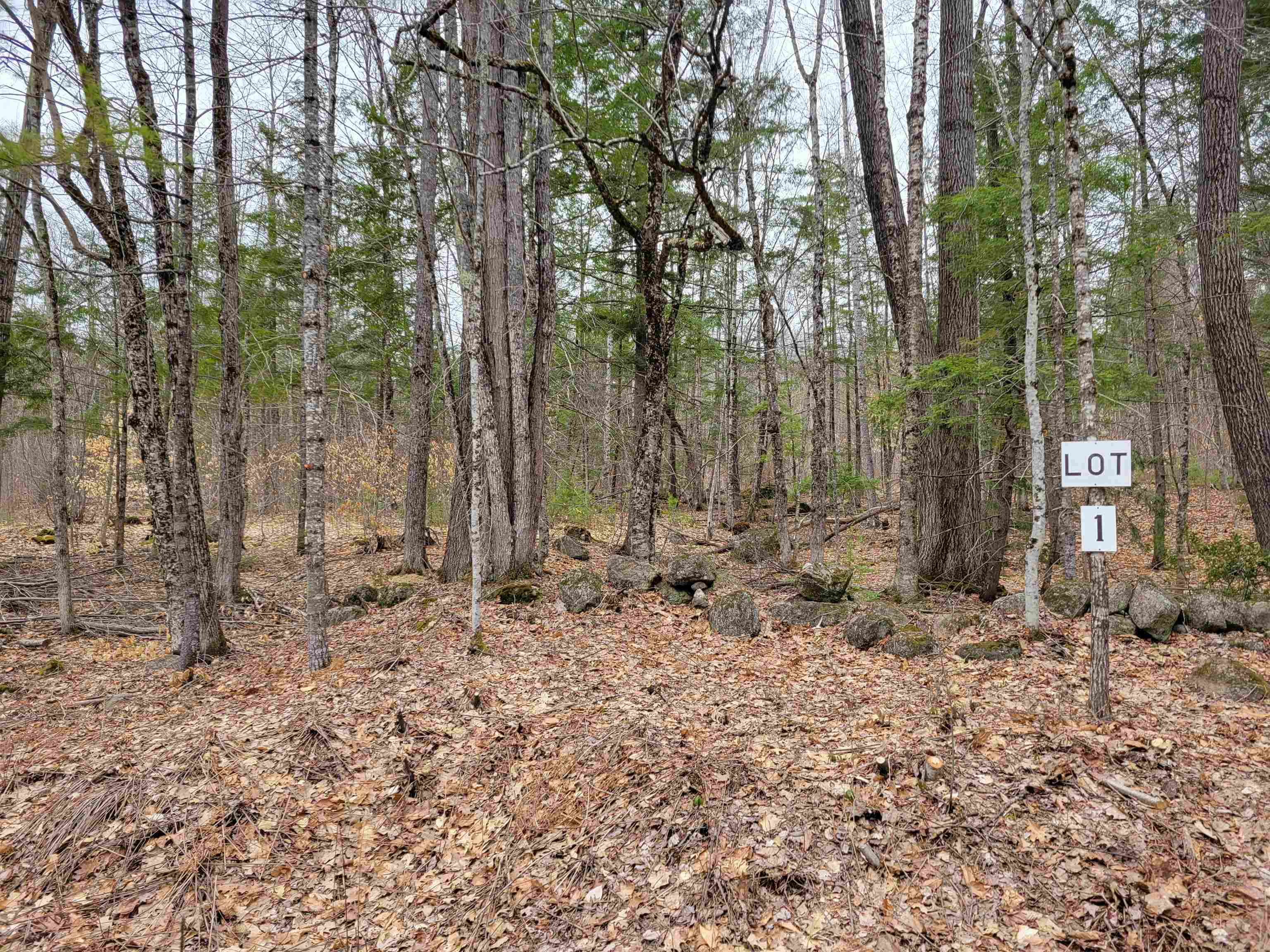 582-1 West Fryeburg Road Fryeburg, ME 04037 - Photo 3 of 3