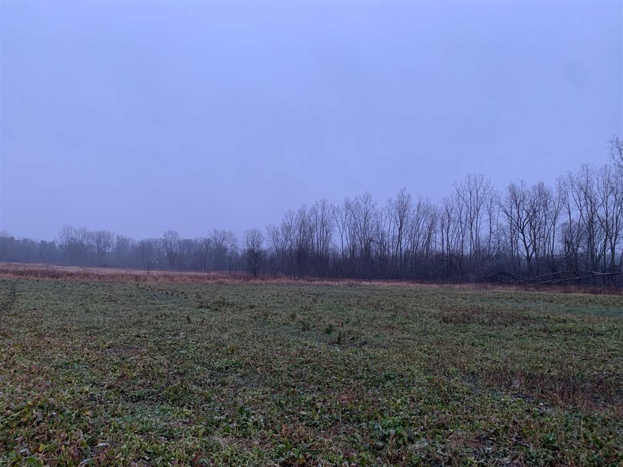 0 Britton Road Morrice, MI 48857 - Photo 3 of 9