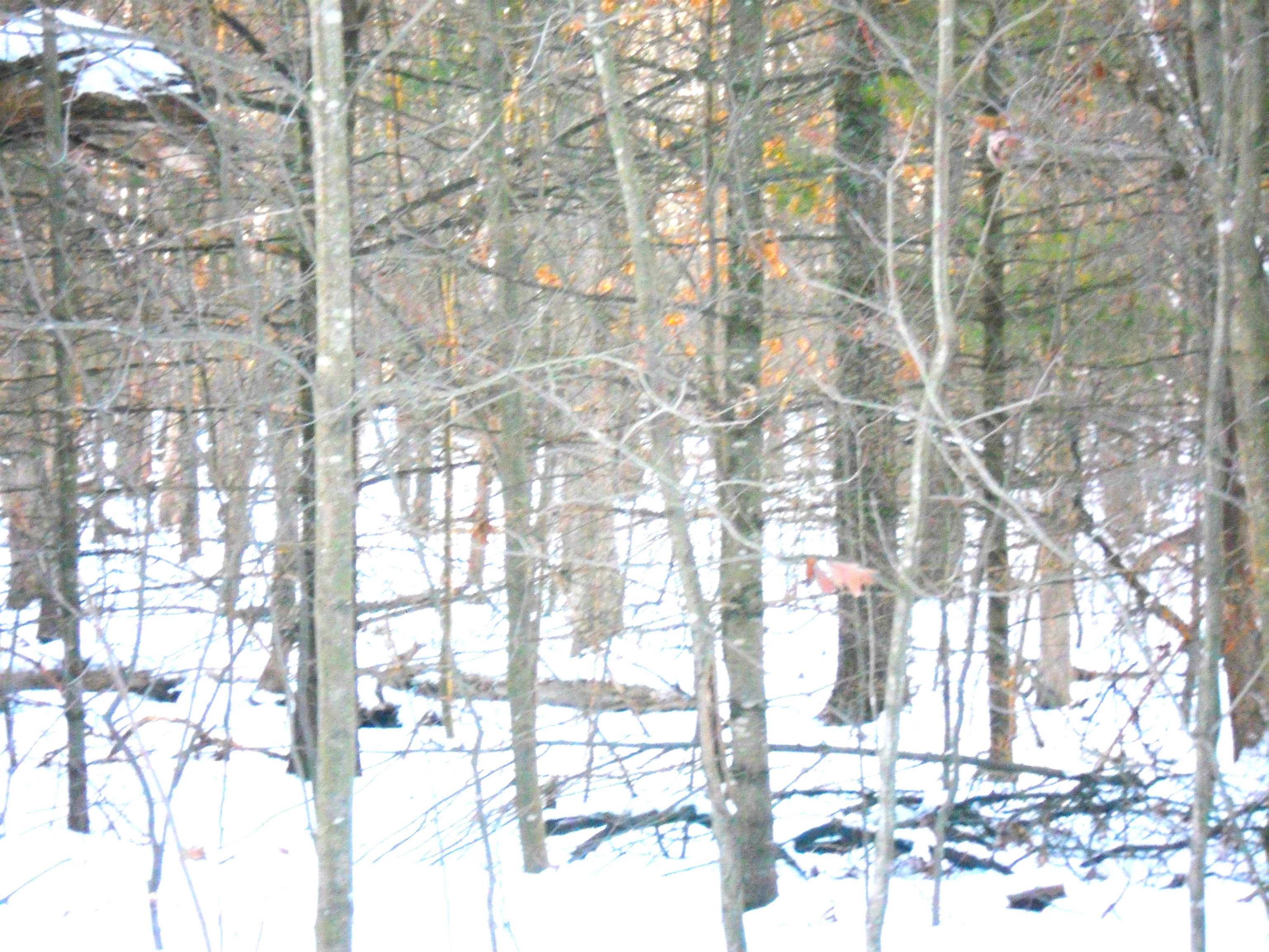 1.34-ac 1.34-ac Czech Friendship, WI 53934 - Photo 3 of 7