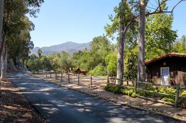 a view of park with large trees