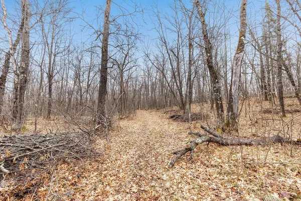 $225,000 | N17260 Tower Line Road, Pembine, WI 54156