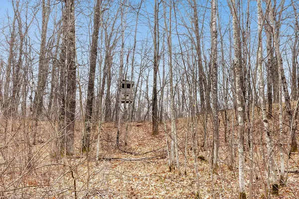 $225,000 | N17260 Tower Line Road, Pembine, WI 54156