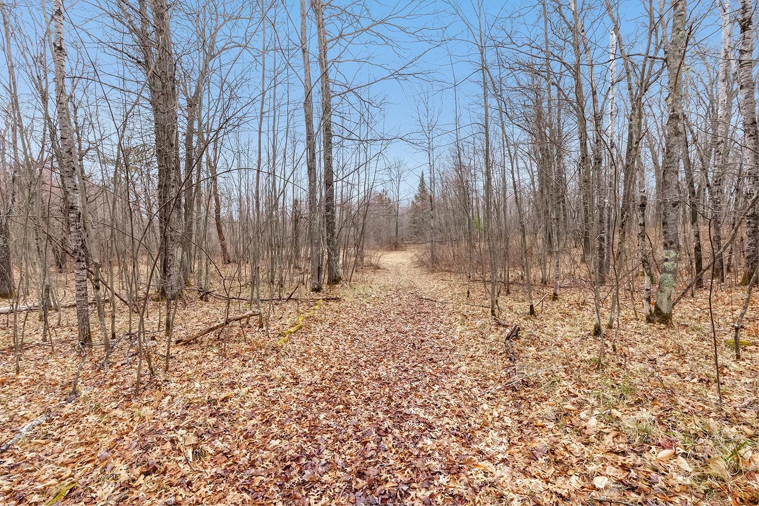 N17260 Tower Line Road Pembine, WI 54156 - Photo 10 of 20