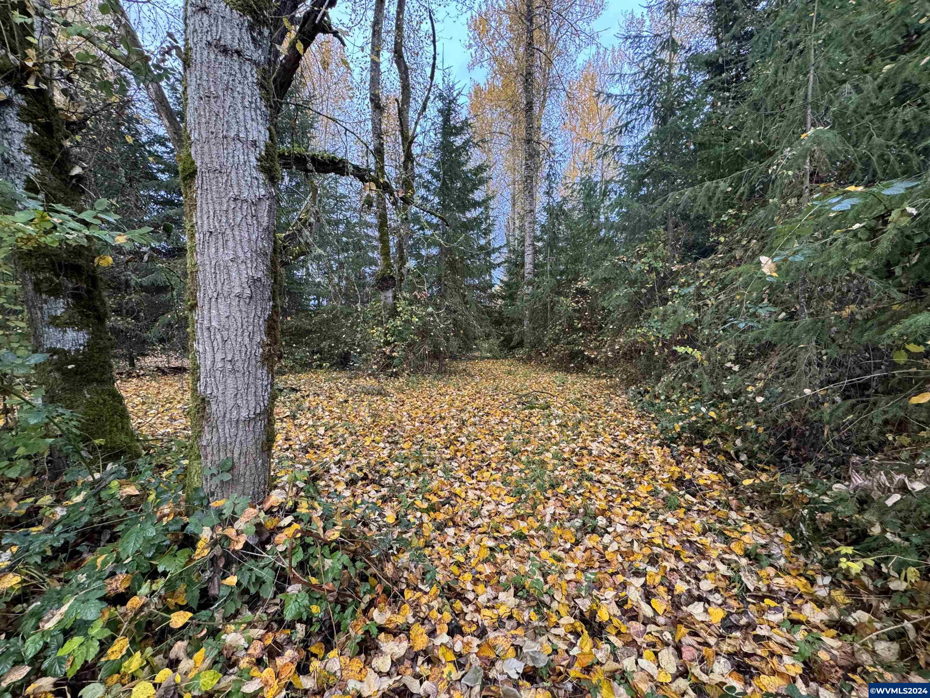 Lot 2 Matheny Road Gervais, OR 97026 - Photo 27 of 29