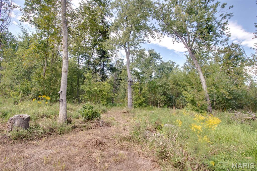 Marine Rd Marine Road Highland, IL 62249 - Photo 35 of 49 Gallery Image 35