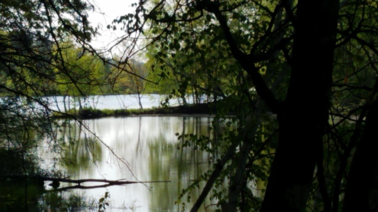 Lot 4 Quiet Cove Road Tomahawk, WI 54487 - Photo 2 of 6 Gallery Image 2