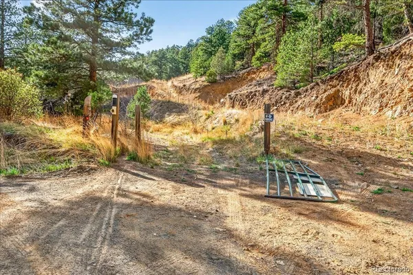 a view of a forest with mountains in the background