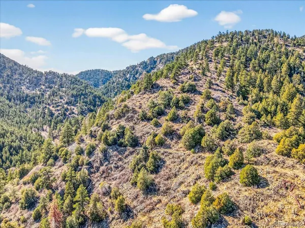 a view of a field with a mountain in the background