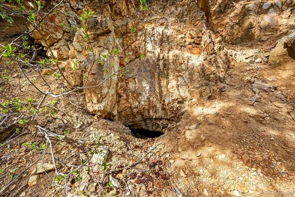 a view of a forest with mountains in the background