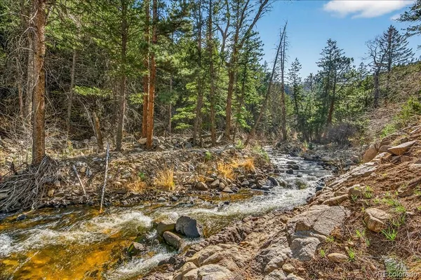 a view of a yard with large trees