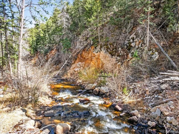 a view of a yard with trees