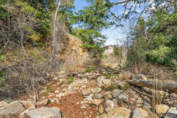 a view of a large building with a tree