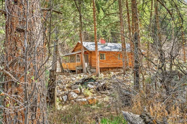 a view of a small house with backyard and trees