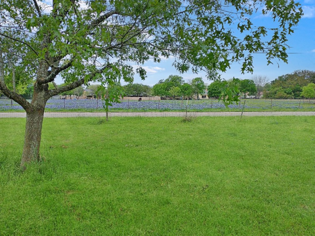 16219 Oxbow Trail, Unit UPSTAIRS Buda, TX 78610 - Photo 2 of 7 a view of field with trees in the background