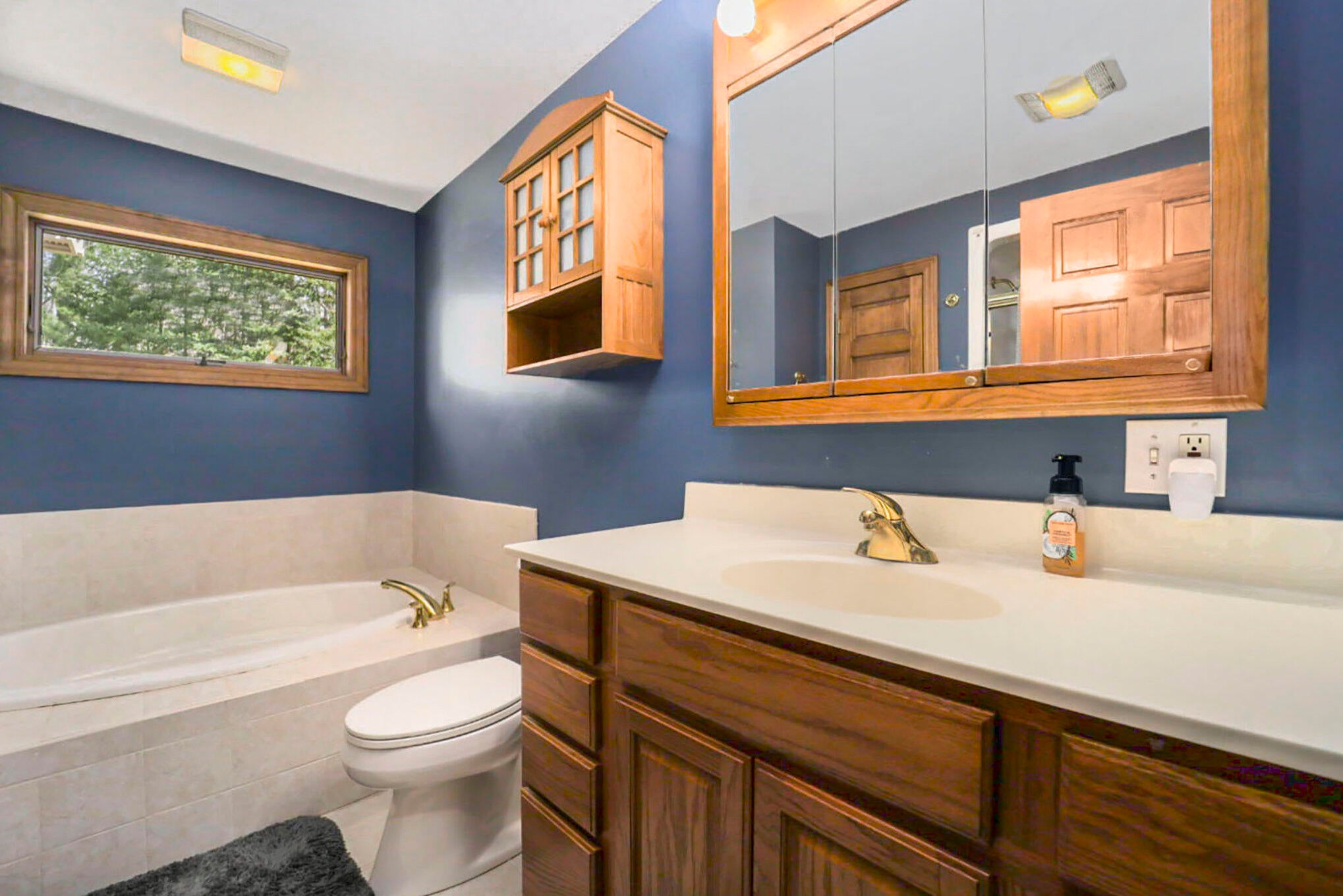 9969 Parke Road Alanson, MI 49706 - Photo 12 of 59 Gallery Image 12