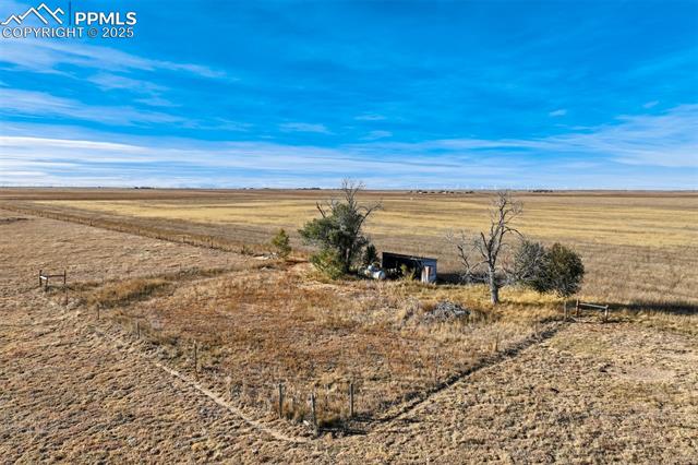 Corona Road Rush, CO 80833 - Photo 18 of 25 View of yard with a view of rural / pastoral area